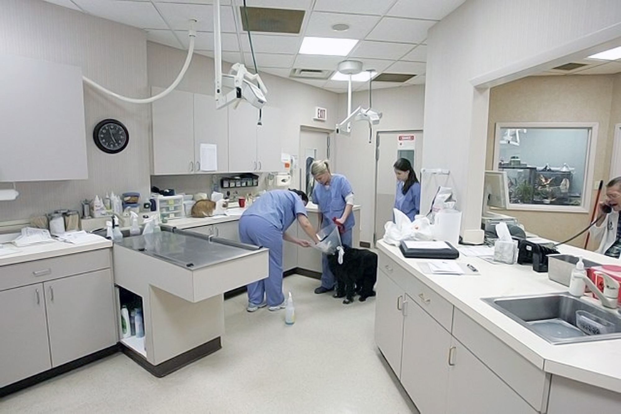 First floor treatment area and surgical suite