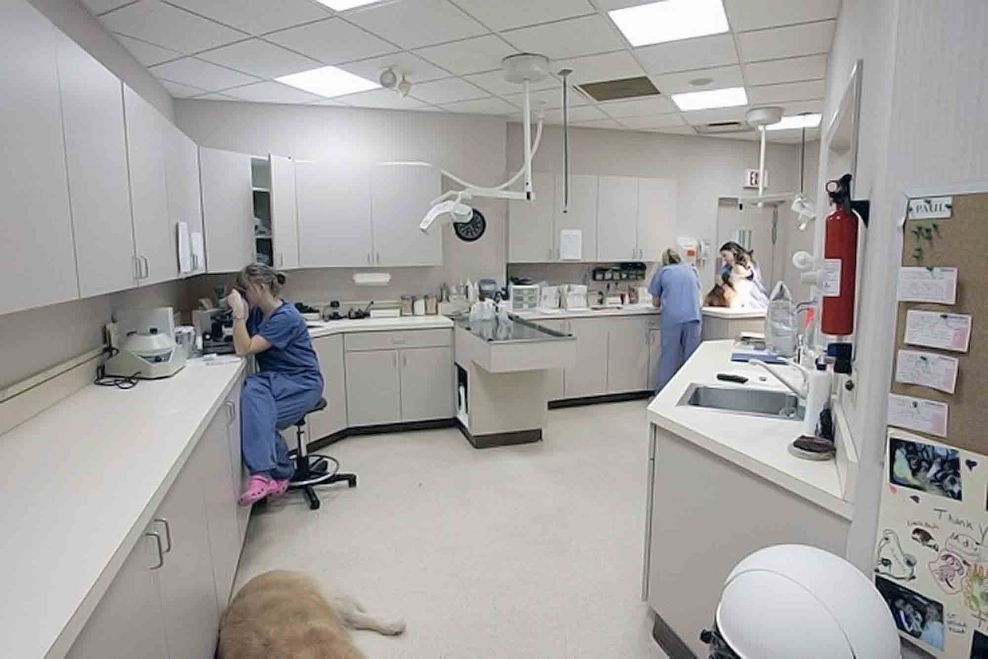 Treatment area