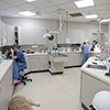 Treatment area