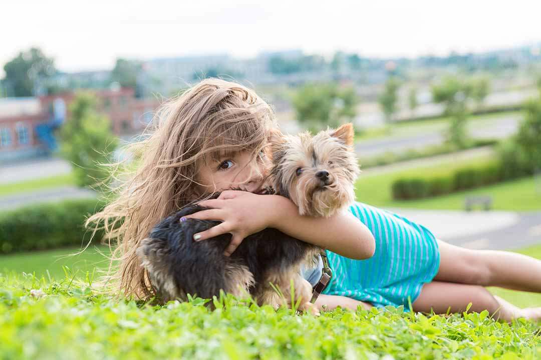 Portrait of girl keeping pretty dog outdoor Portrait of girl keeping pretty dog outdoor