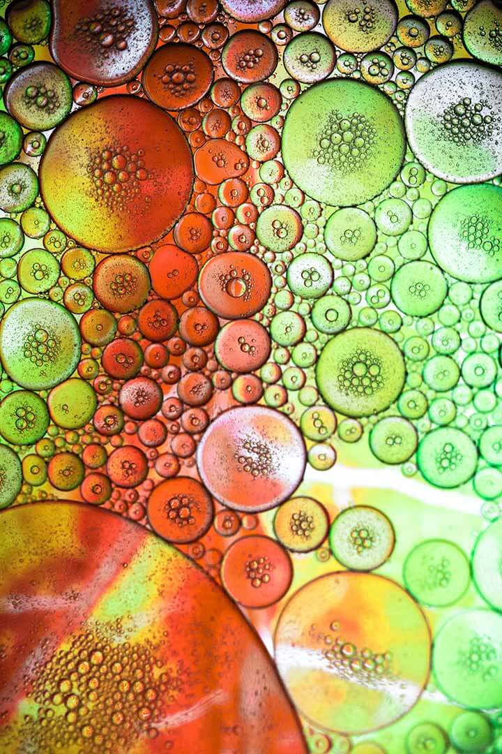 Organic macro abstract textures Organic macro abstract textures