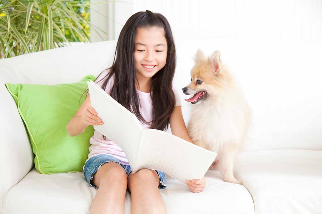 Pomeranian book review and a girl Pomeranian book review and a girl